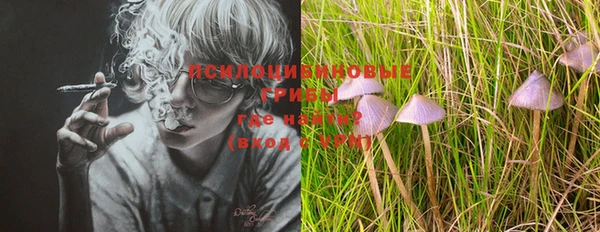 дмт Осташков