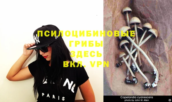 соль курить ск Остров